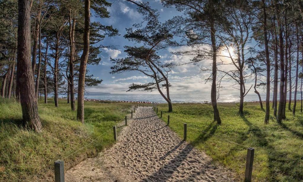 Direkt Am Strand Mit Meerblick Und Sauna - Fewo Strandidyll Binz Ngoại thất bức ảnh